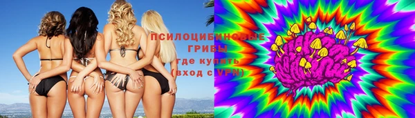 а пвп мука Бородино