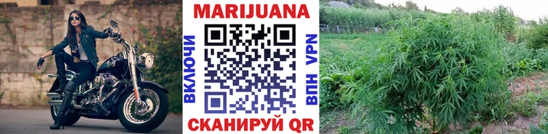 Купить закладки  Нефтегорск  Канабис планчик 